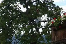 Galerie 10 Bild 290