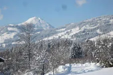 Galerie 11 Bild 721