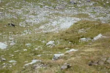 Galerie 13 Bild 269