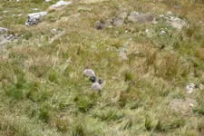 Galerie 13 Bild 271