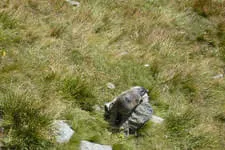 Galerie 13 Bild 262