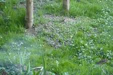 Galerie 13 Bild 99